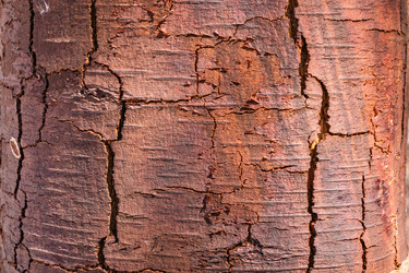 Similar image 21281801