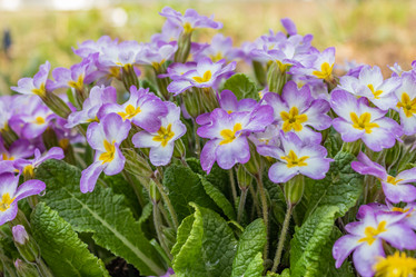 Similar image 21263755