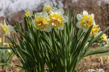 Similar image 21264605