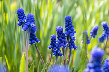 Similar image 21264606