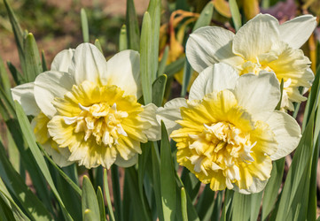 Similar image 21264607