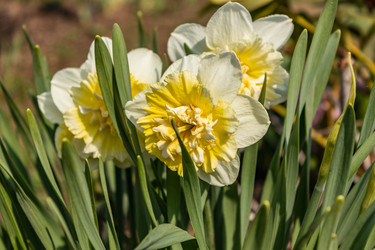 Similar image 21265002