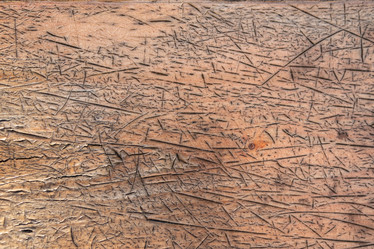 Similar image 21265003