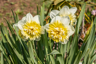 Similar image 21265573