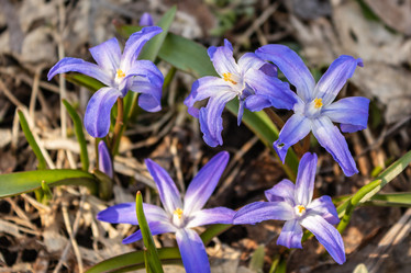 Similar image 21265574