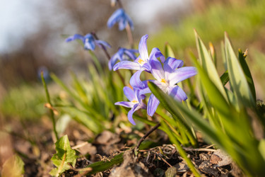 Similar image 21265576