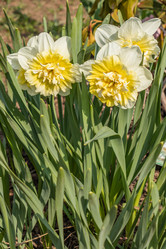 Similar image 21265577