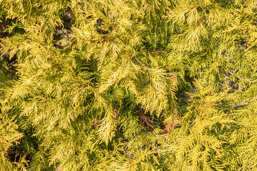 Similar image 21265578