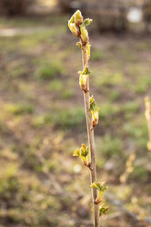 Similar image 21265579