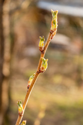 Similar image 21265580