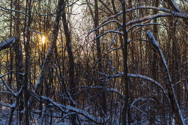 Similar image 21260350