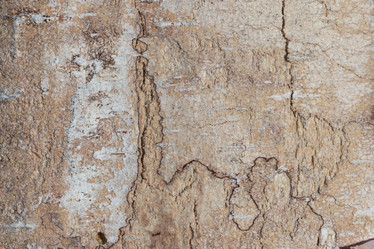 Similar image 21260587