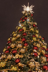 Similar image 21260926