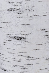 Similar image 21260927