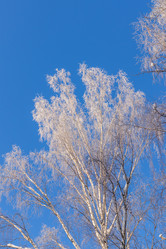 Similar image 21261874