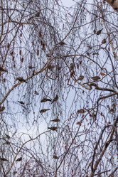 Similar image 21263758