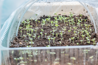 Similar image 21264609