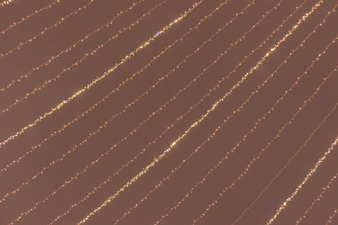 Similar image 21263769