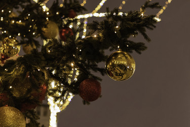 Similar image 21264614