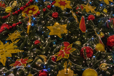 Similar image 21265006