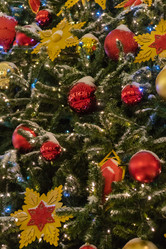 Similar image 21265587