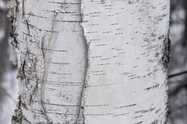 Similar image 21260602