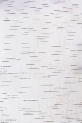 Similar image 21260603