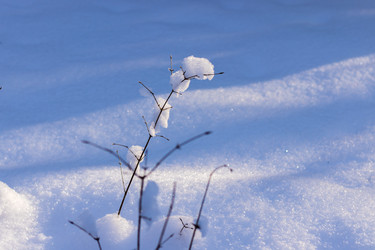 Similar image 21263773