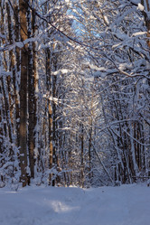 Similar image 21263774