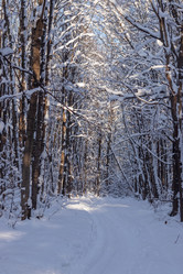 Similar image 21263775