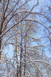 Similar image 21264616