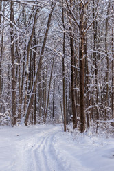 Similar image 21264617