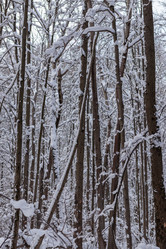 Similar image 21265008