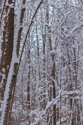 Similar image 21265009