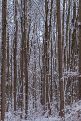 Similar image 21265010