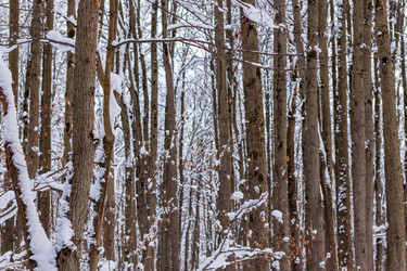 Similar image 21265595