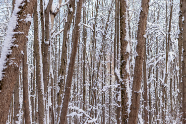 Similar image 21265596