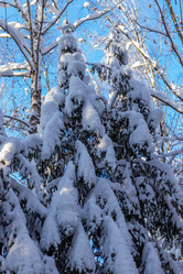 Similar image 21266557