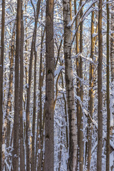 Similar image 21266558