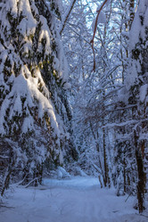 Similar image 21266559