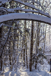 Similar image 21266560