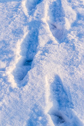 Similar image 21265011