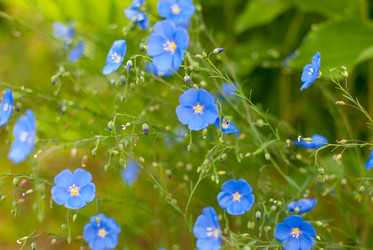 Similar image 21260182