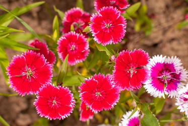 Similar image 21260183