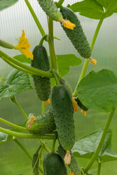 Similar image 21260356