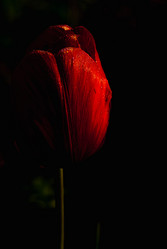 Similar image 21260362