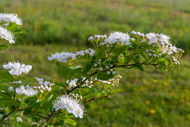 Similar image 21260626