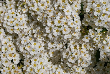 Similar image 21260635