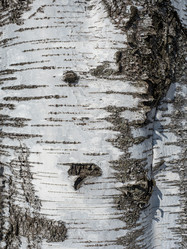 Similar image 21260637