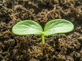 Similar image 21260640